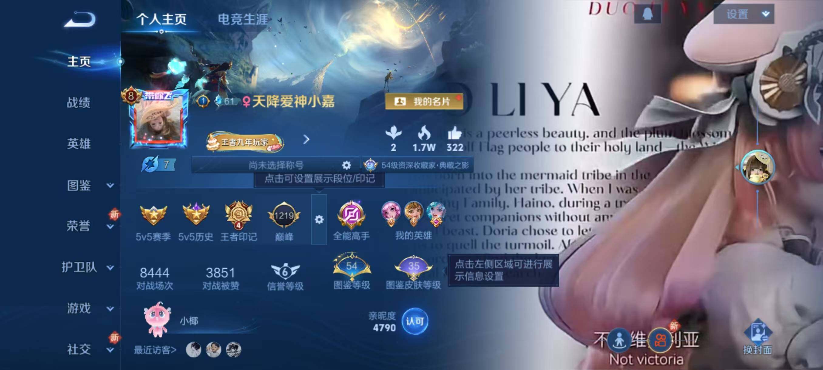 WZLX3388586王者荣耀账号详情图2