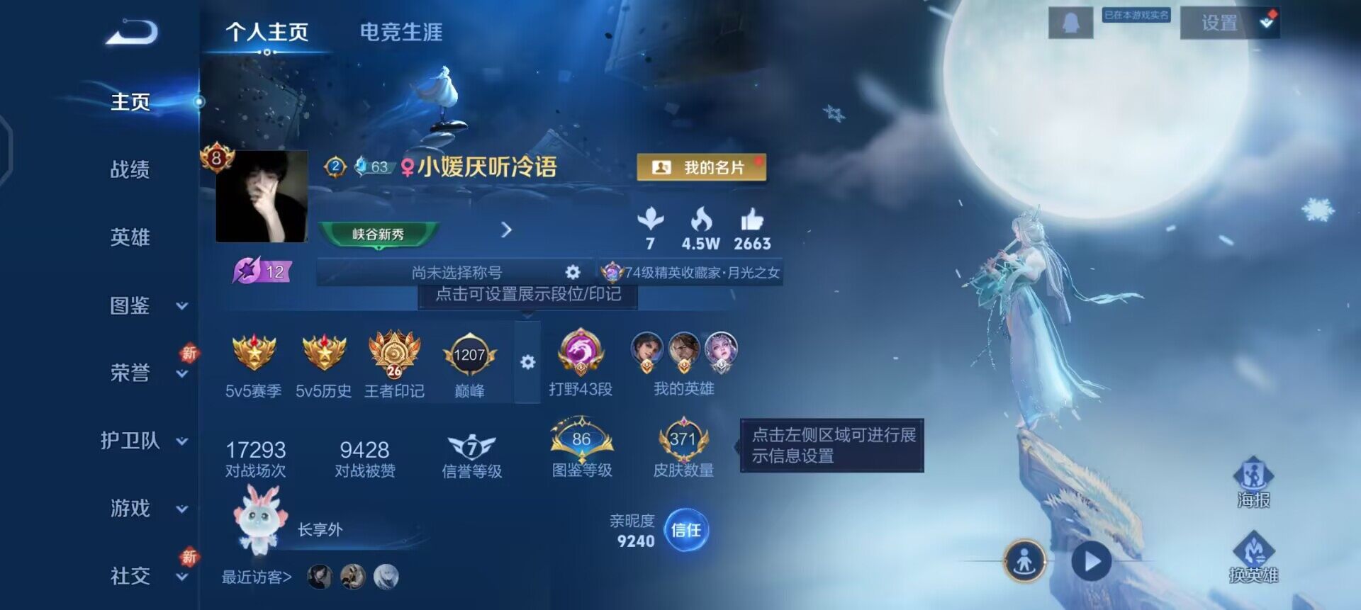 WZQM3390391王者荣耀账号详情图11