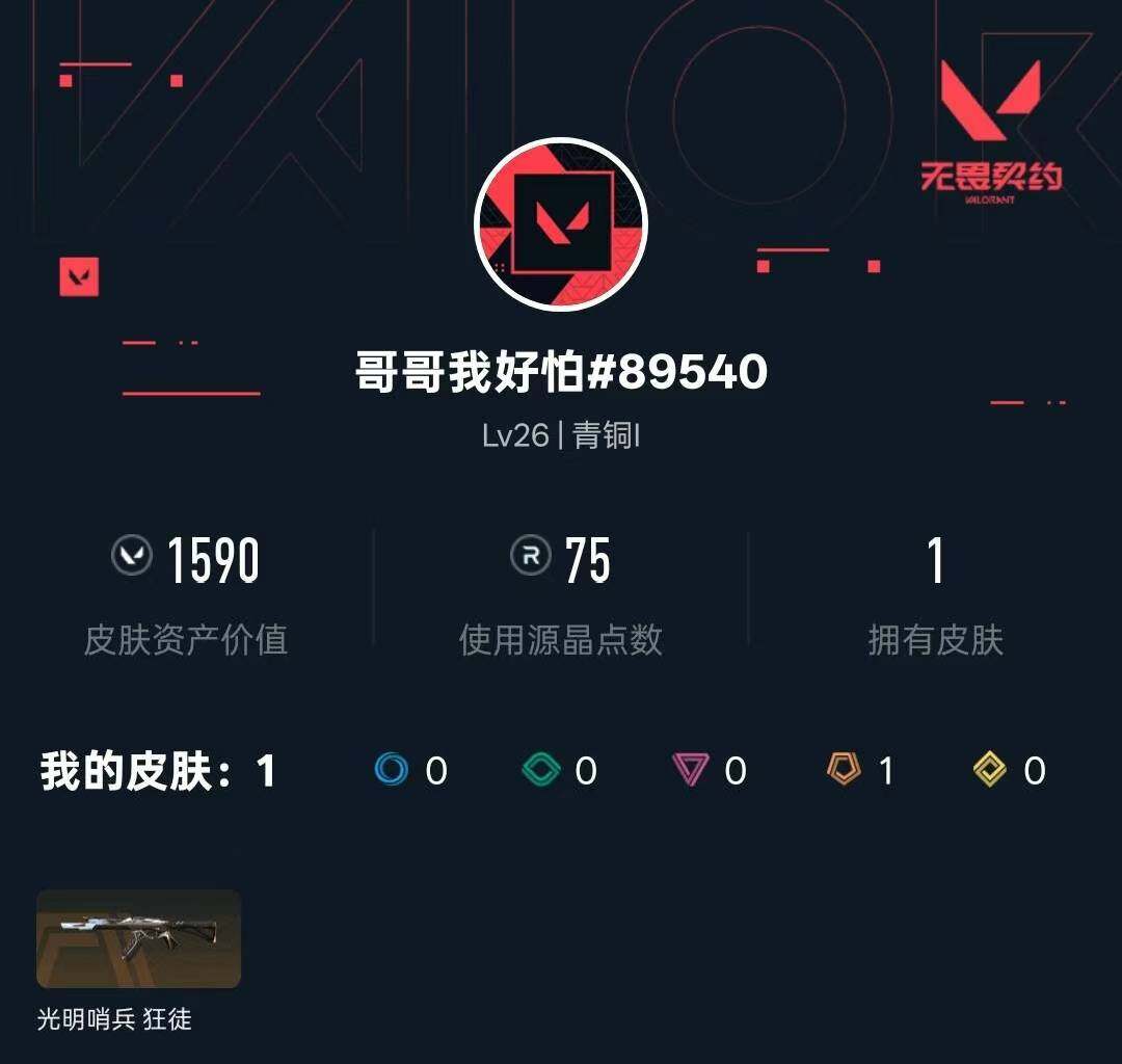 WWQXL325752无畏契约账号详情图3 WWQXL325752无畏契约账号详情图3