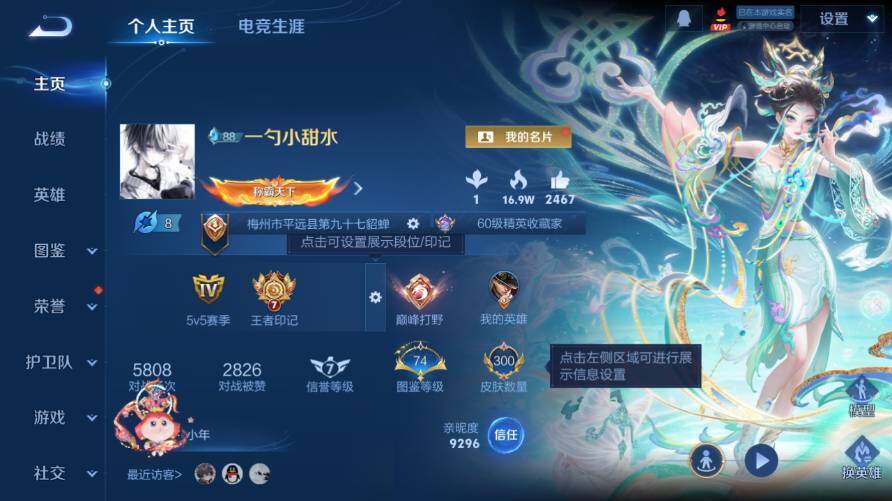 WZ0349596王者荣耀账号详情图9