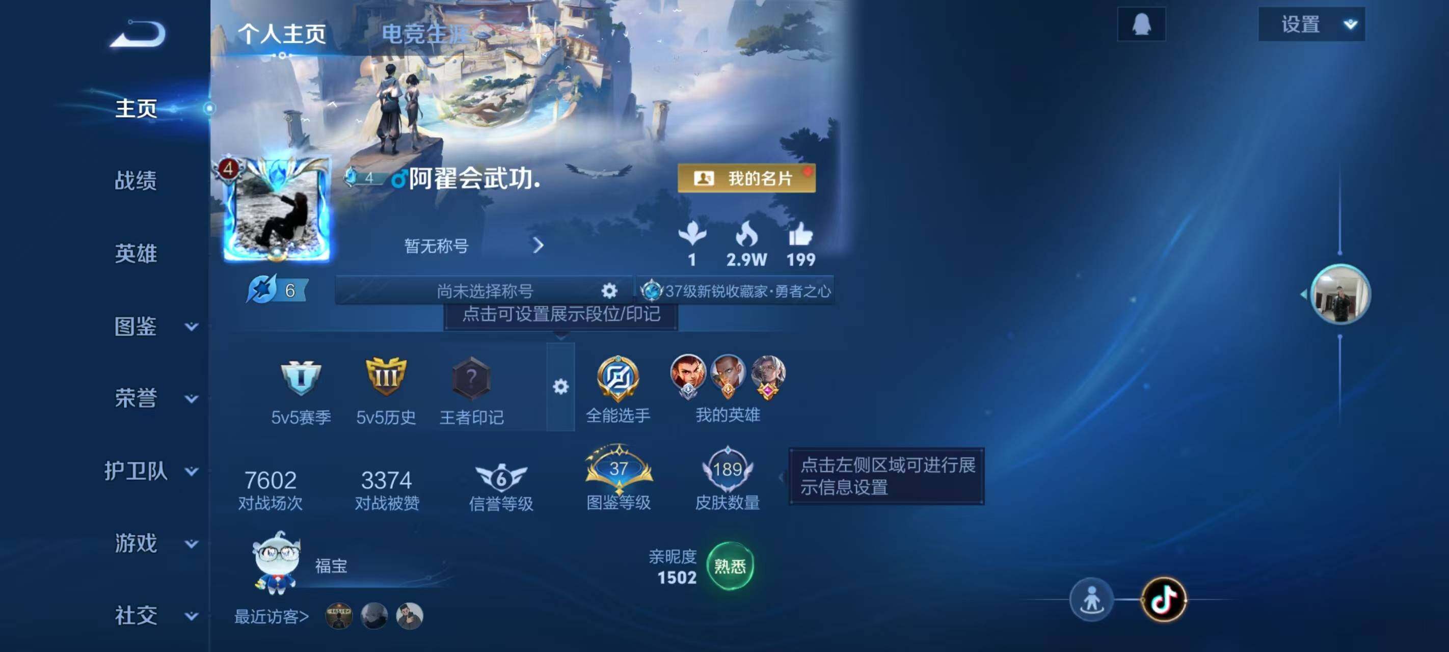 WZLX3390508王者荣耀账号详情图2