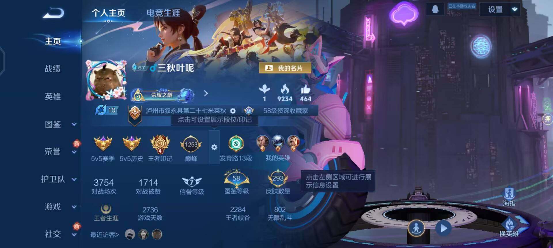 WZQM3393434王者荣耀账号详情图6