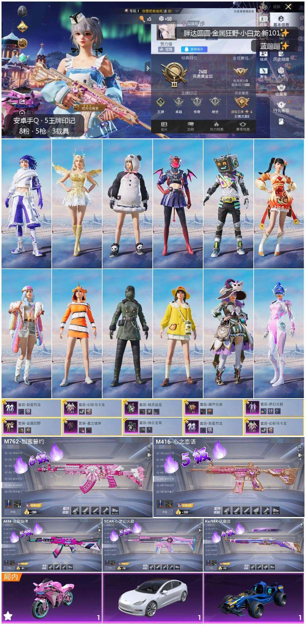 HPLX3403198和平精英账号详情图2 HPLX3403198和平精英账号详情图2