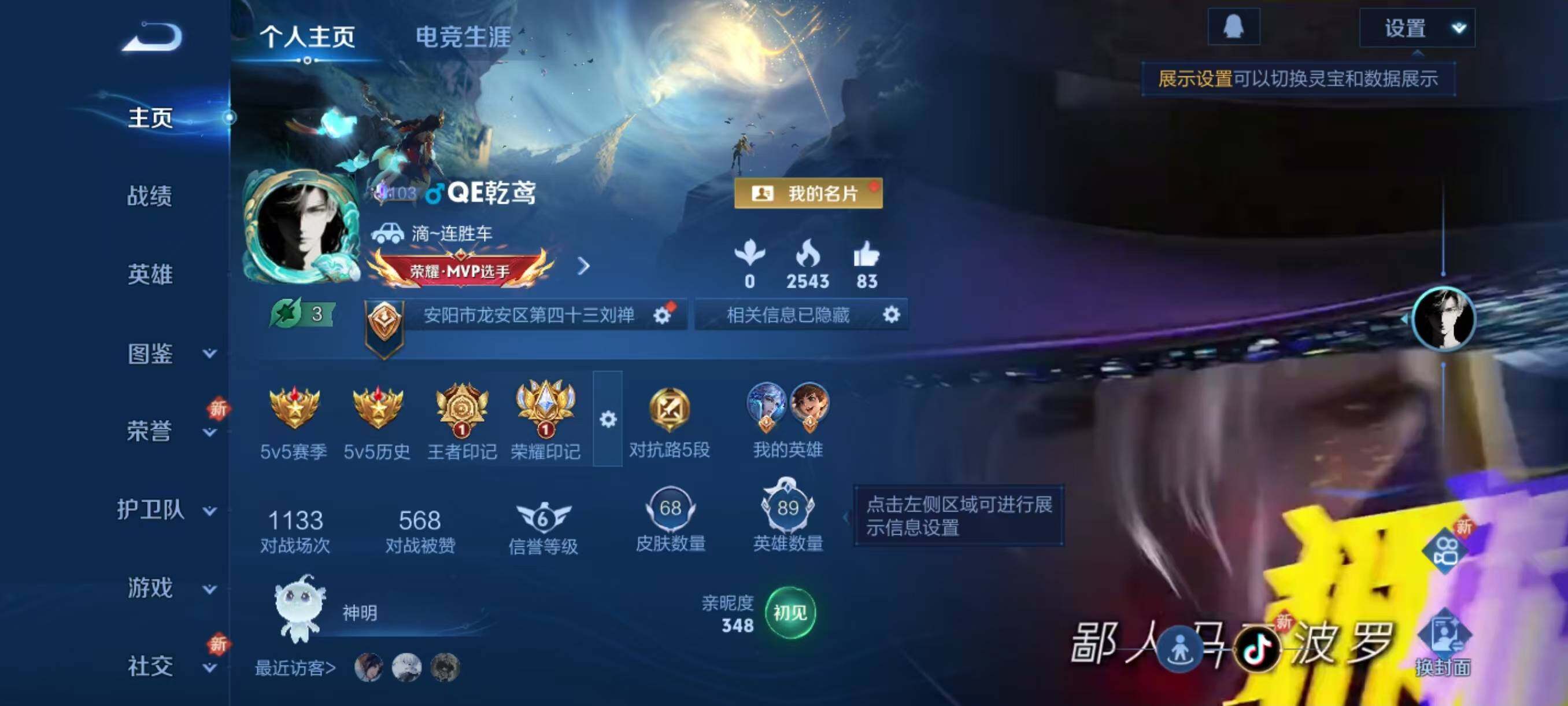 WZLX3391931王者荣耀账号详情图2