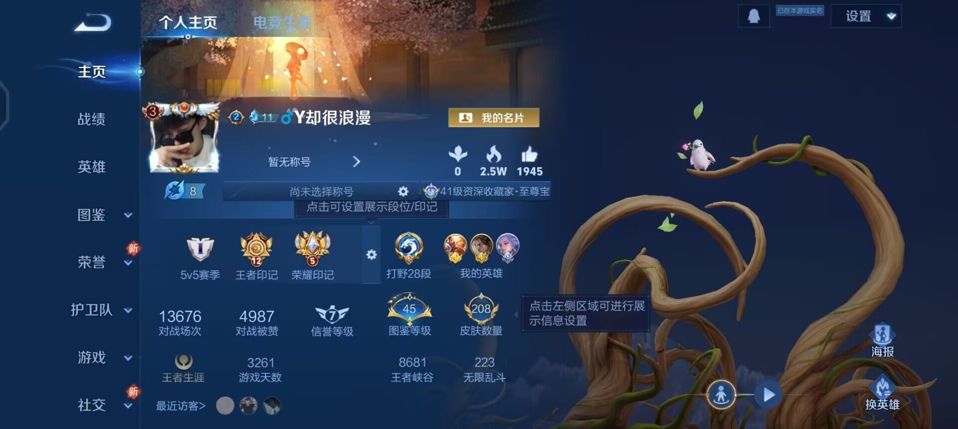 WZQM3397345王者荣耀账号详情图11 WZQM3397345王者荣耀账号详情图11