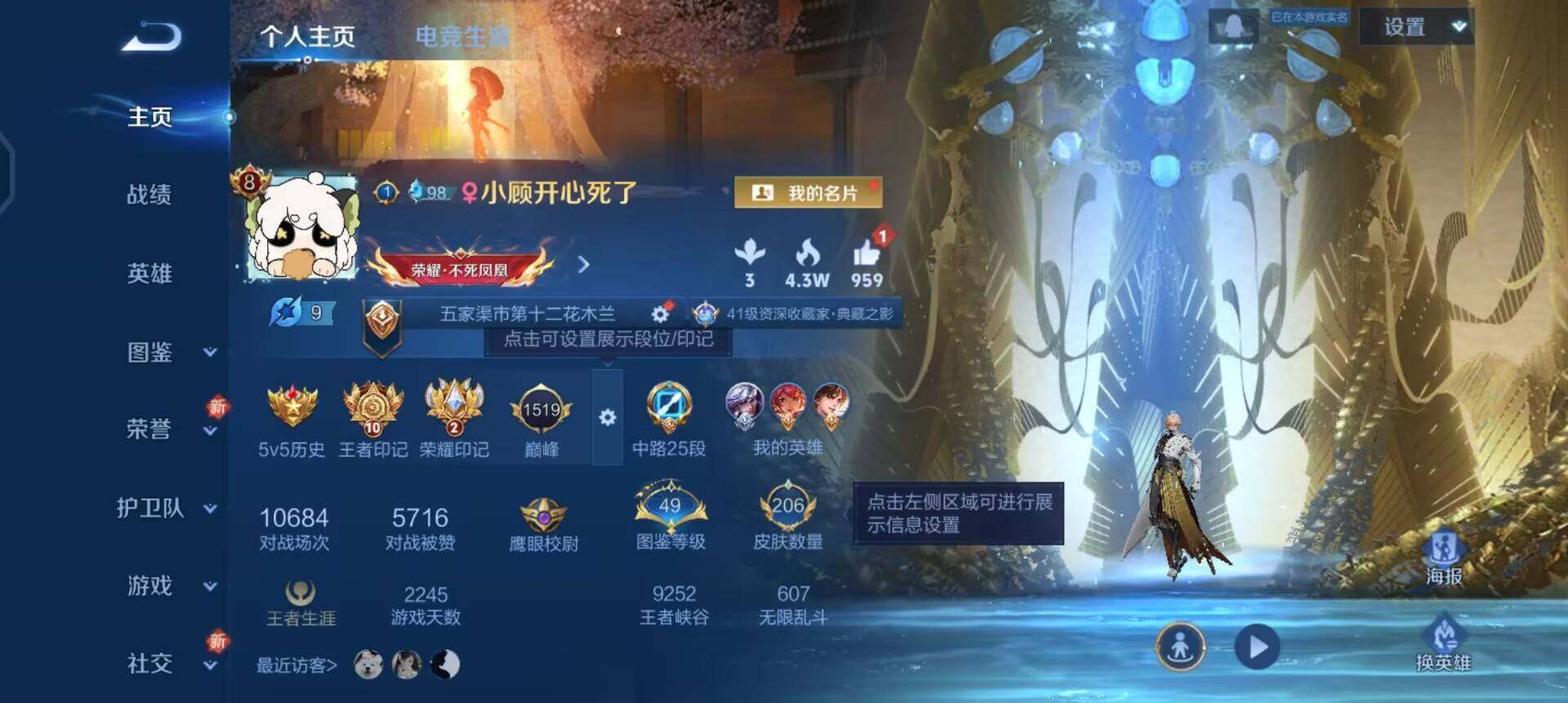 WZQM3395228王者荣耀账号详情图3