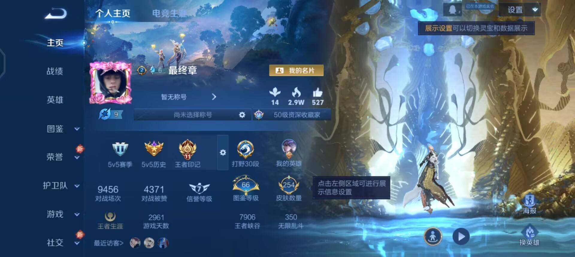 WZQM3397337王者荣耀账号详情图8