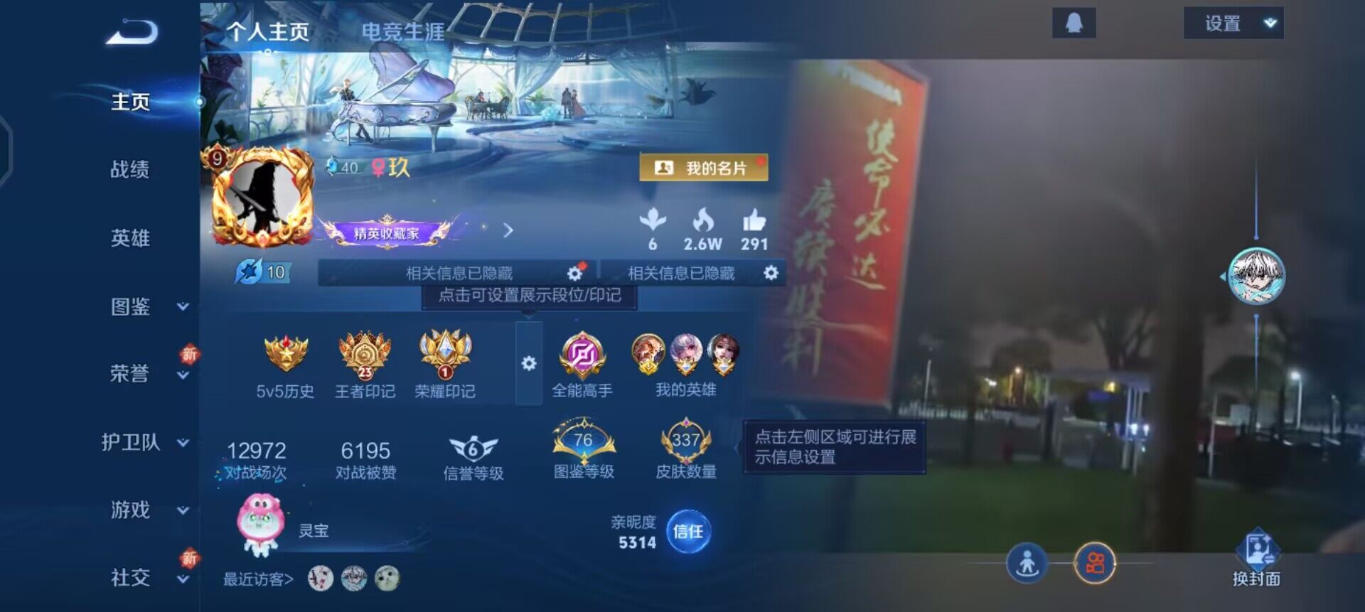 WZQM3395223王者荣耀账号详情图8 WZQM3395223王者荣耀账号详情图8