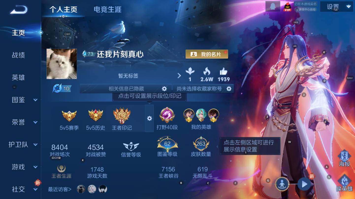 WZCMW3394269王者荣耀账号详情图8