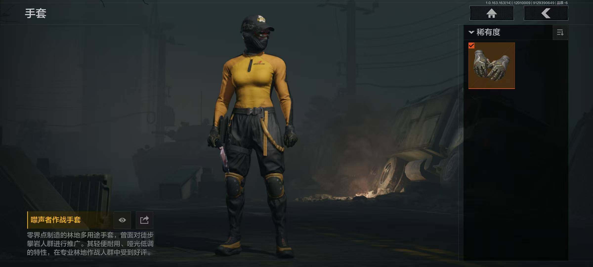 AQQM315228暗区突围账号详情图6