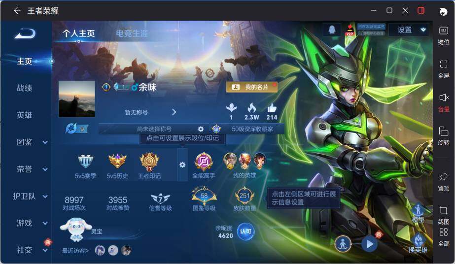 WZLE3399837王者荣耀账号详情图6 WZLE3399837王者荣耀账号详情图6