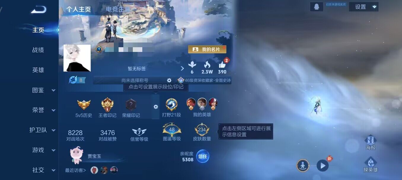 WZEY3395503王者荣耀账号详情图6