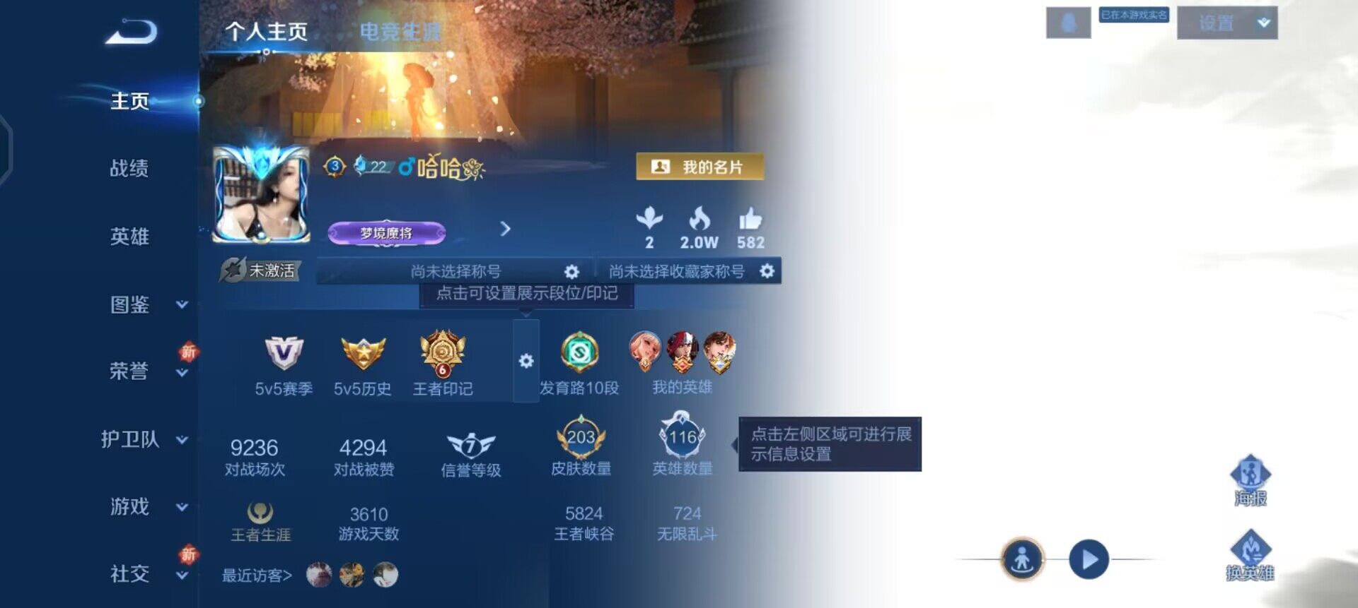 WZQM3398876王者荣耀账号详情图12