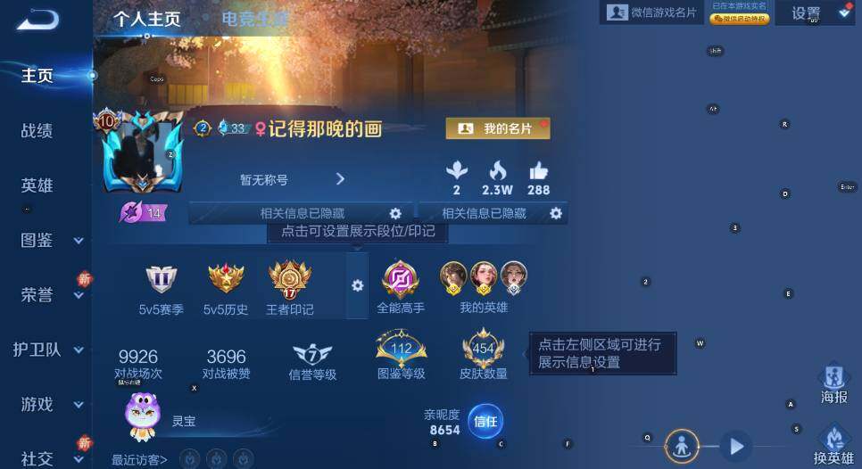 WZCMW3479616王者荣耀账号详情图12