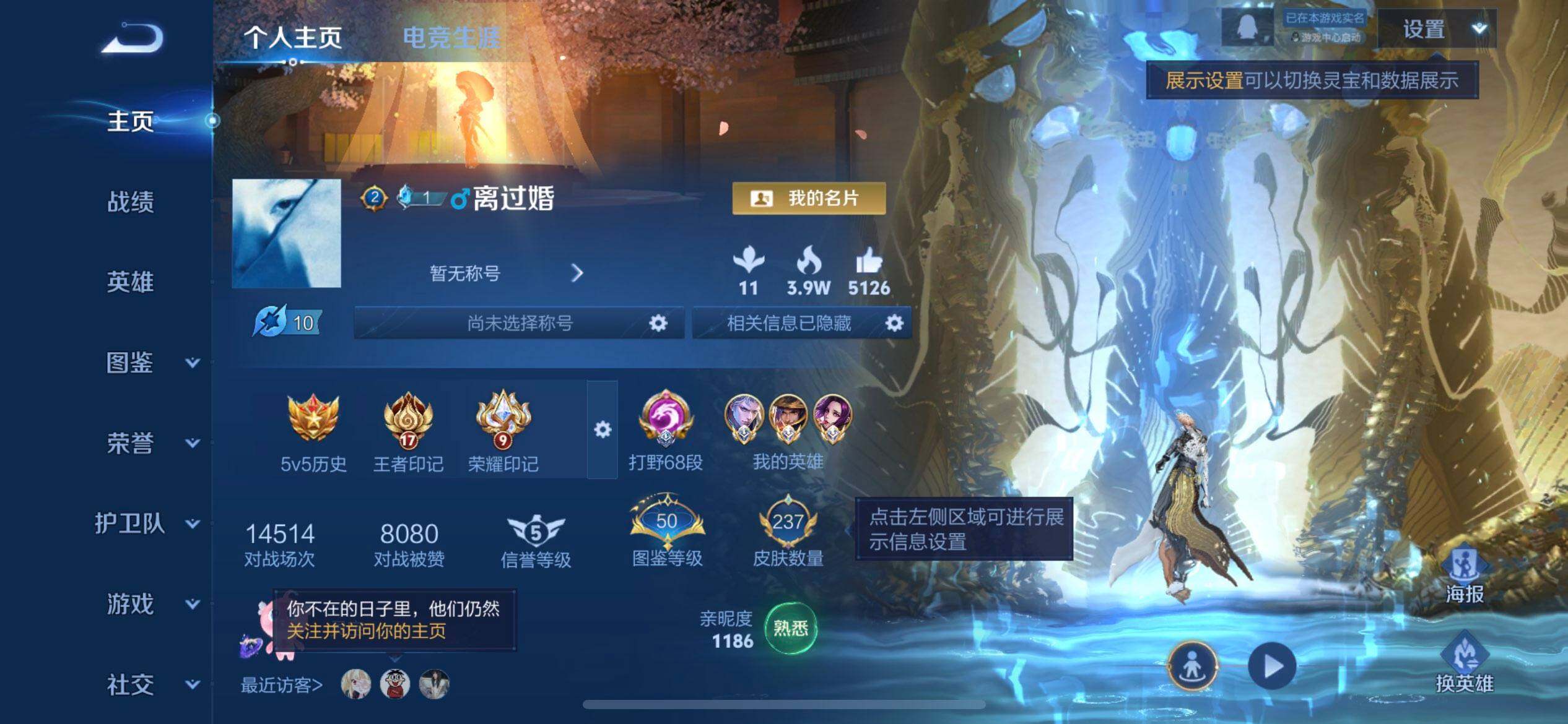 WZQM3398866王者荣耀账号详情图16 WZQM3398866王者荣耀账号详情图16