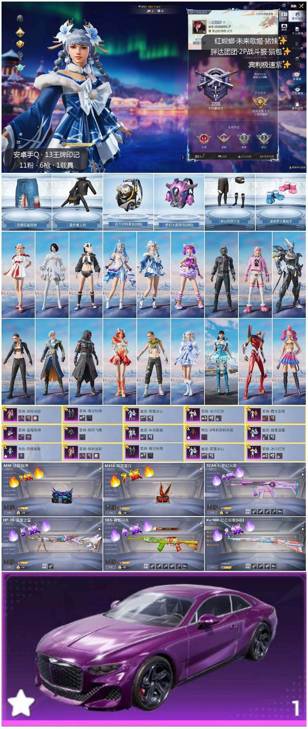 HPLX3408342和平精英账号详情图2 HPLX3408342和平精英账号详情图2