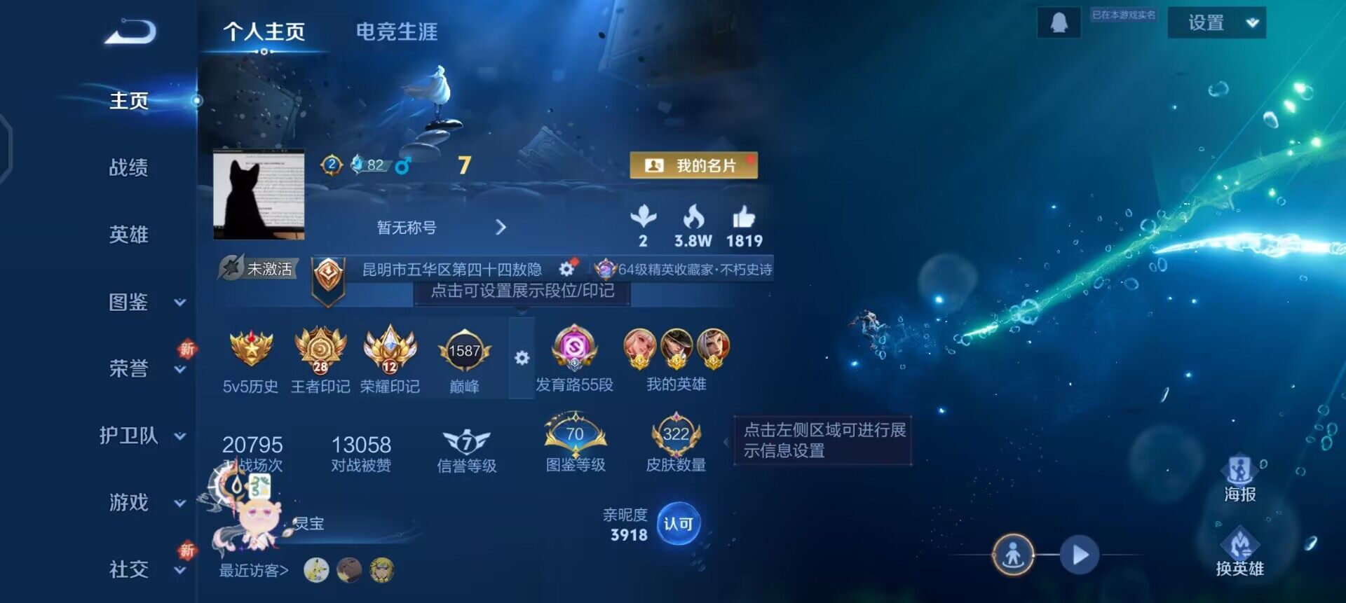 WZQM3398829王者荣耀账号详情图3