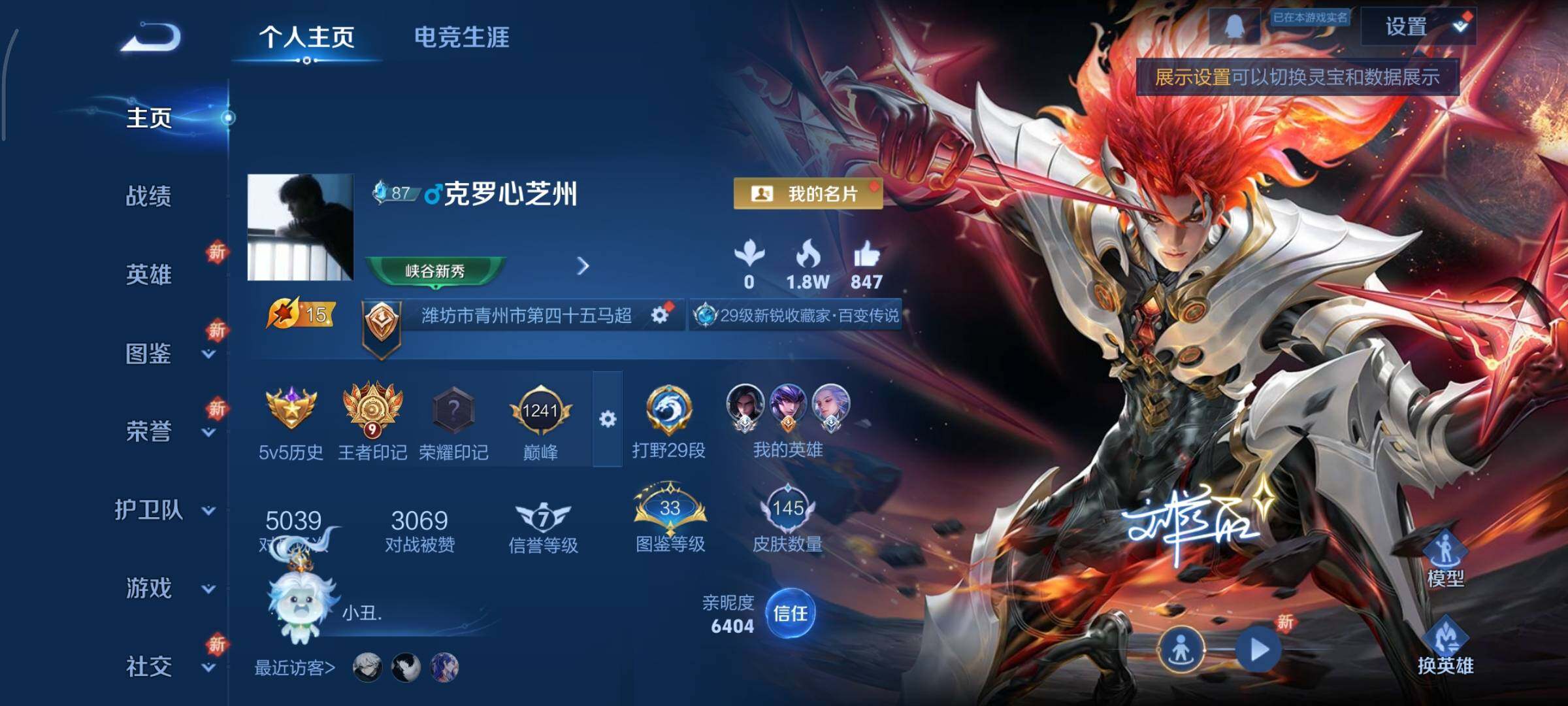 WZCMY3402370王者荣耀账号详情图2