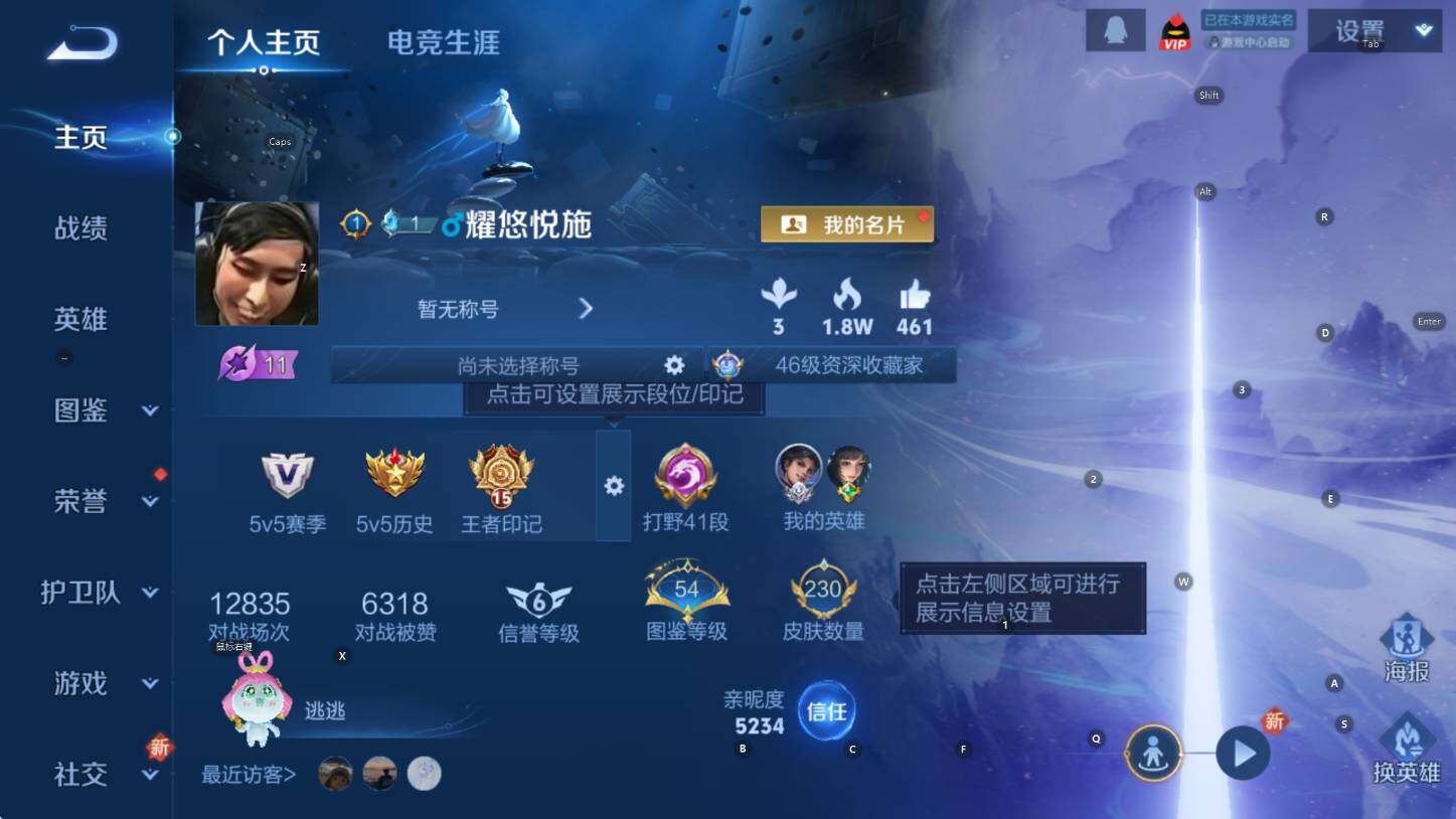 WZCMW3398372王者荣耀账号详情图8