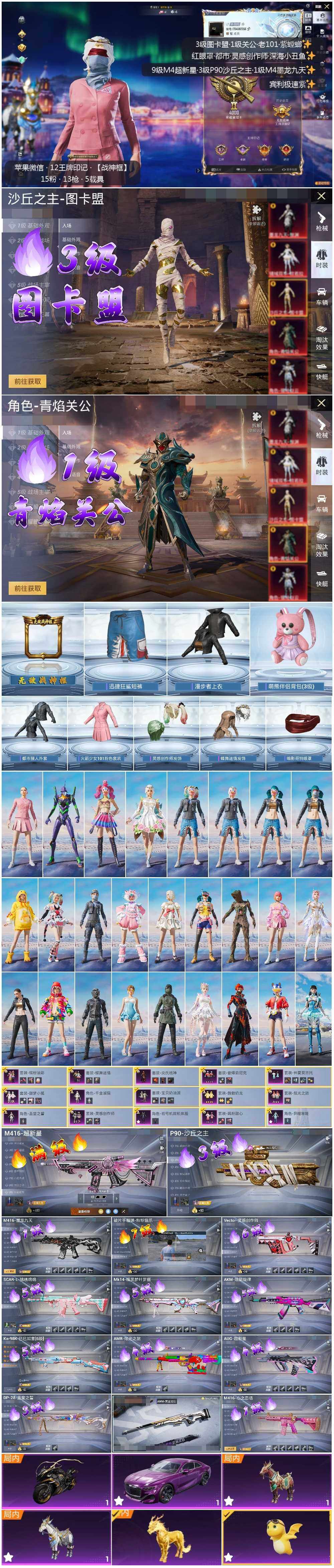 HPLX3409195和平精英账号详情图2 HPLX3409195和平精英账号详情图2