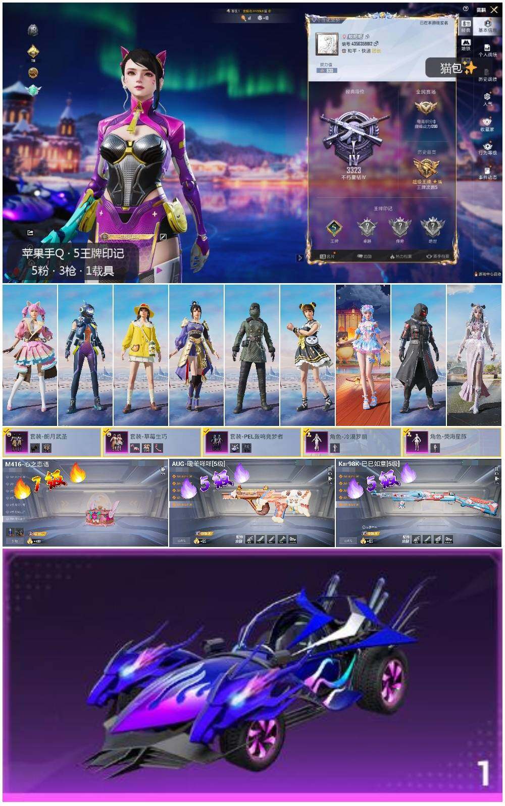 HPLX3409193和平精英账号详情图2 HPLX3409193和平精英账号详情图2