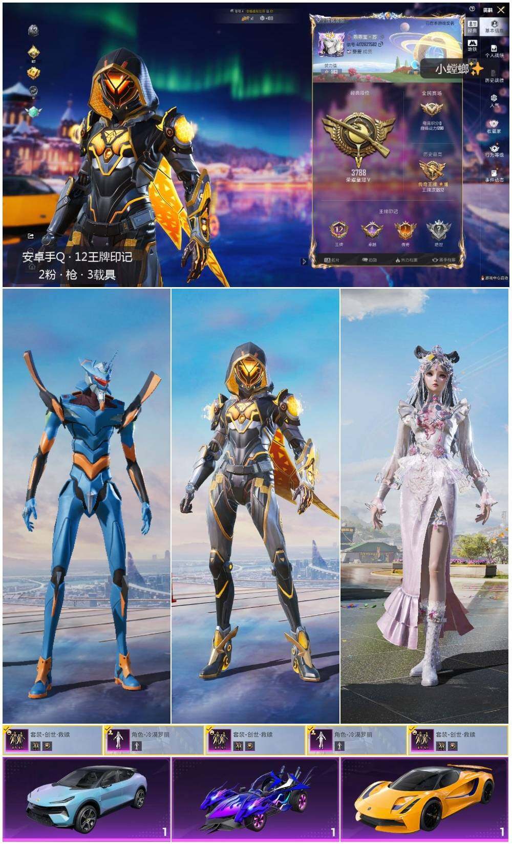 HPLE3409065和平精英账号详情图2 HPLE3409065和平精英账号详情图2