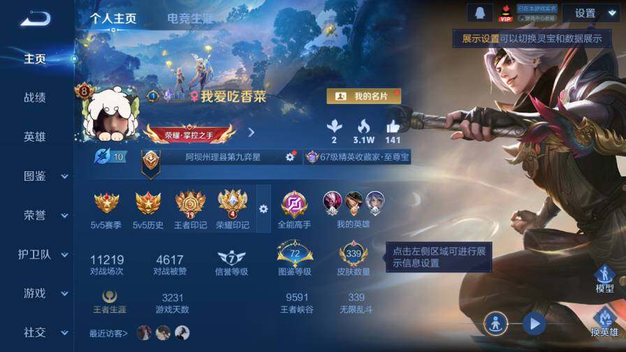 WZ0349702王者荣耀账号详情图9