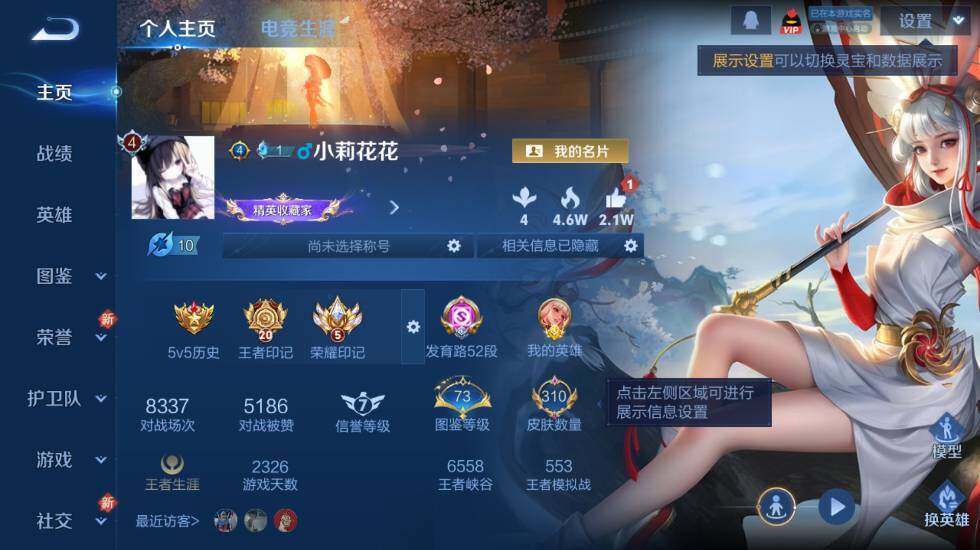 WZ0349706王者荣耀账号详情图8