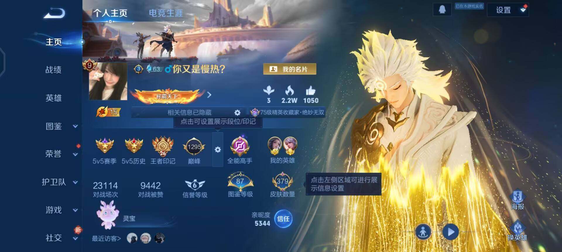 WZQM3406983王者荣耀账号详情图13