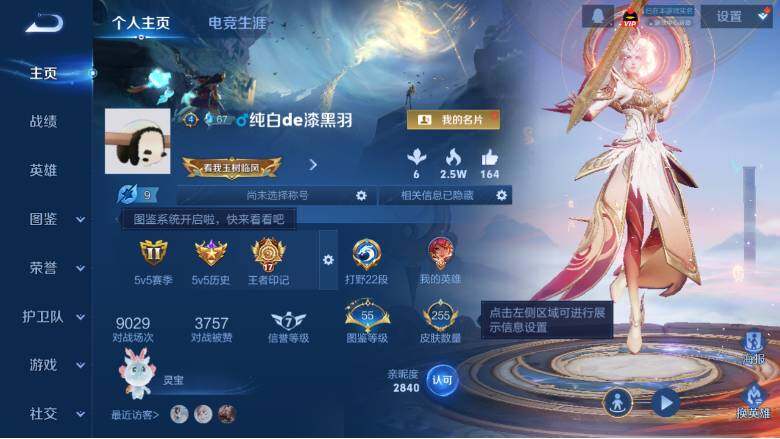 WZ0349723王者荣耀账号详情图8