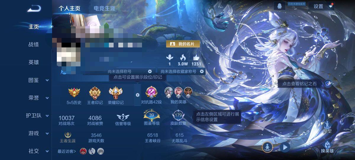 WZQM3401654王者荣耀账号详情图13