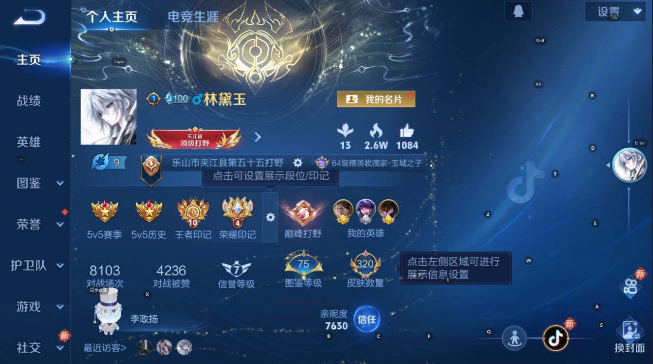 WZCMW3401928王者荣耀账号详情图9