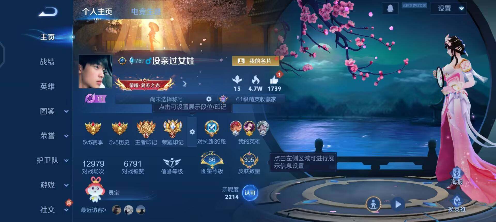 WZQM3443237王者荣耀账号详情图5