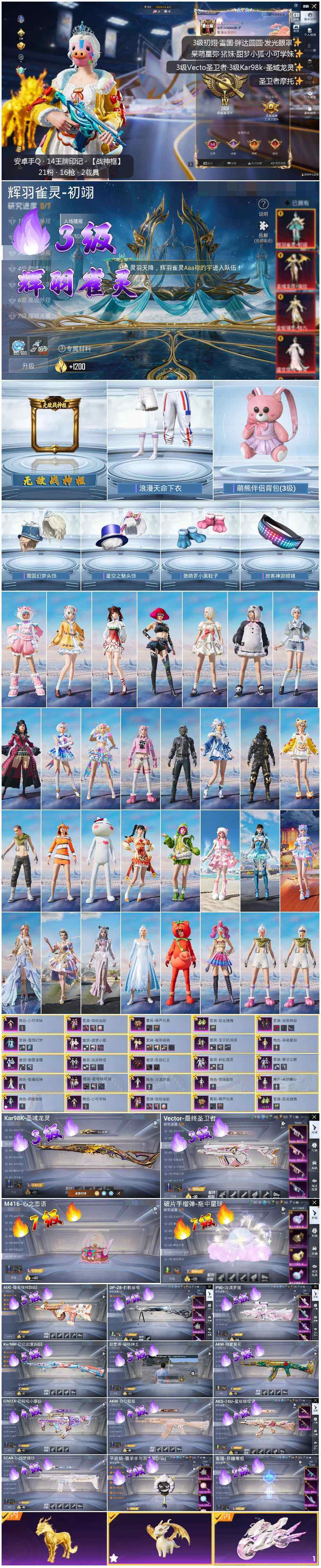 HPLE3415264和平精英账号详情图2 HPLE3415264和平精英账号详情图2