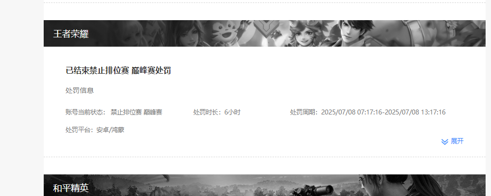 WZKG457320王者荣耀账号详情图4