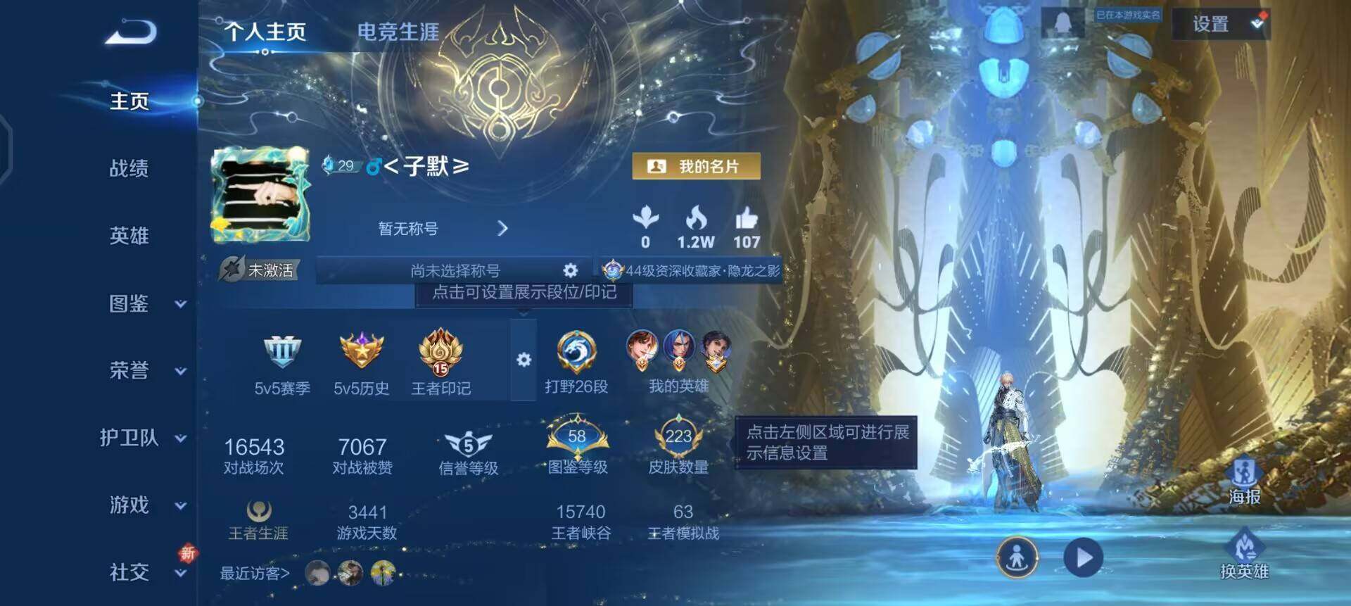 WZQM3407329王者荣耀账号详情图3