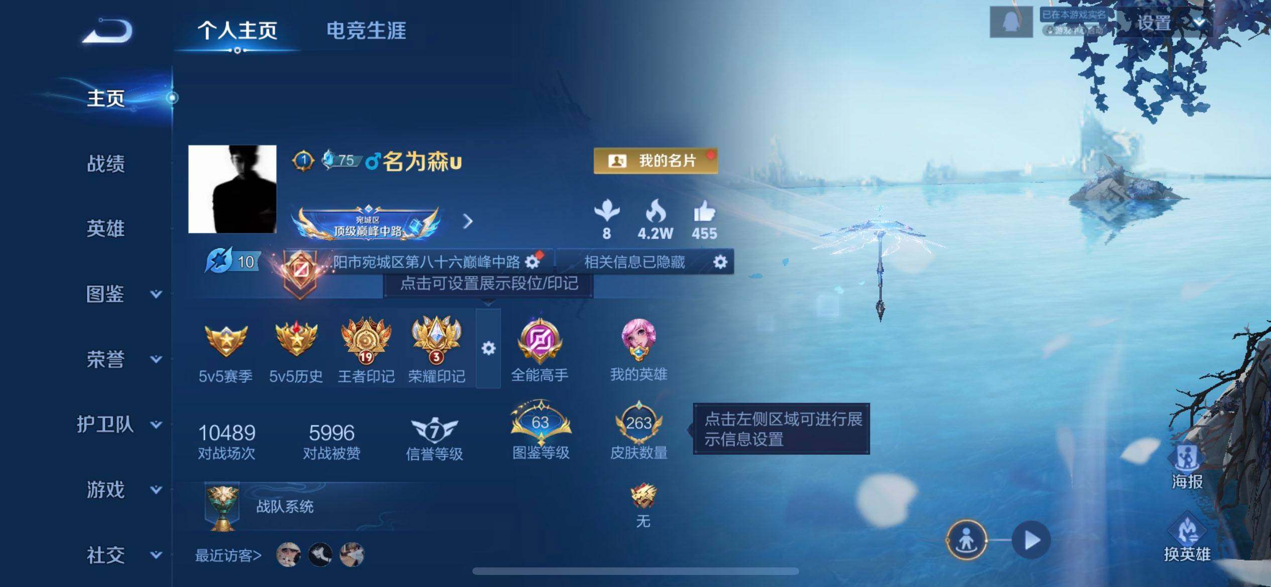 WZQM3407274王者荣耀账号详情图3