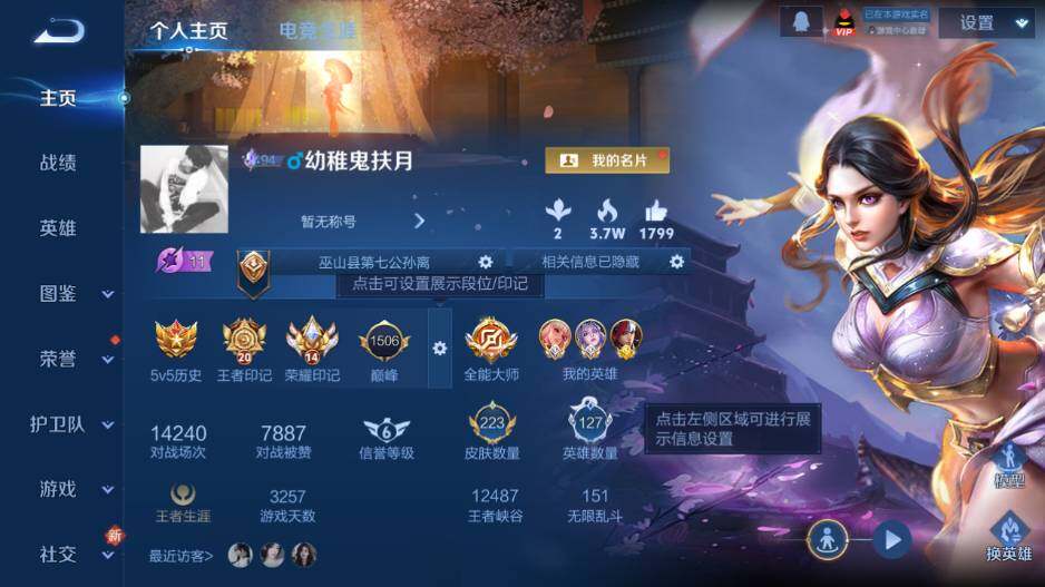 WZ0349756王者荣耀账号详情图8