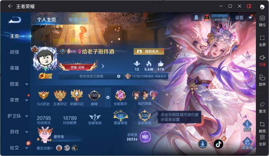 WZLE3411326王者荣耀账号详情图13