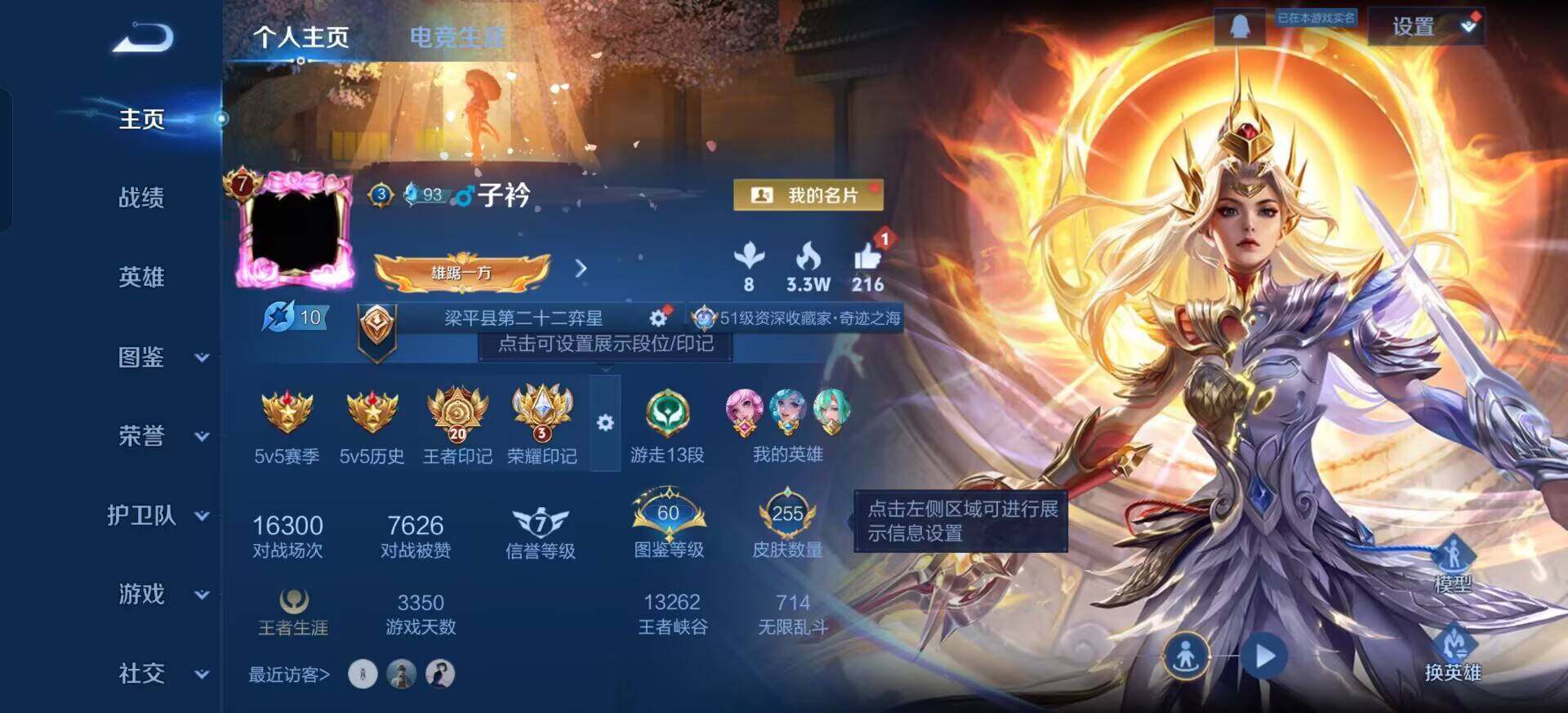 WZQM3409296王者荣耀账号详情图5