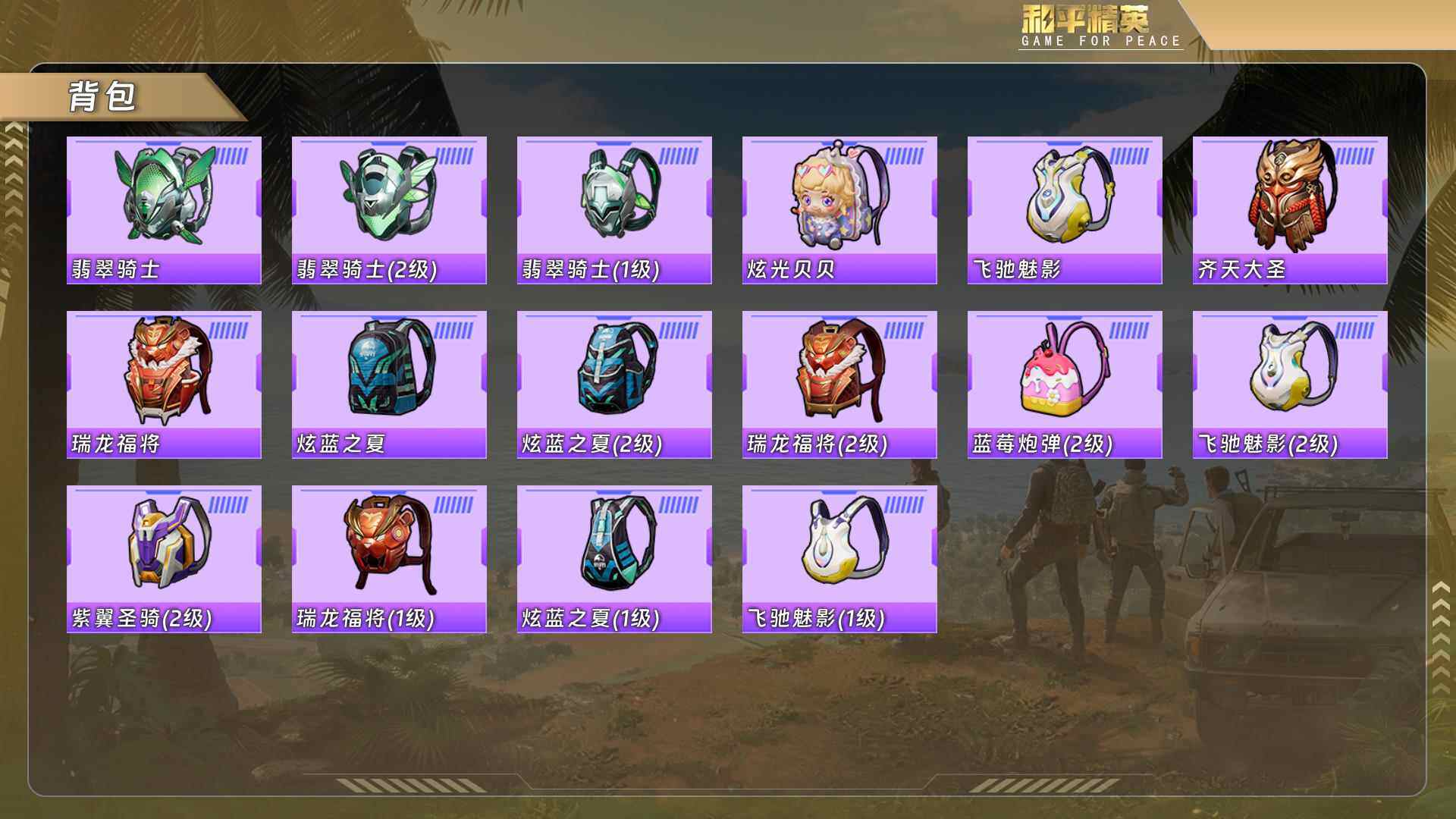 HPCMW478210和平精英账号详情图9