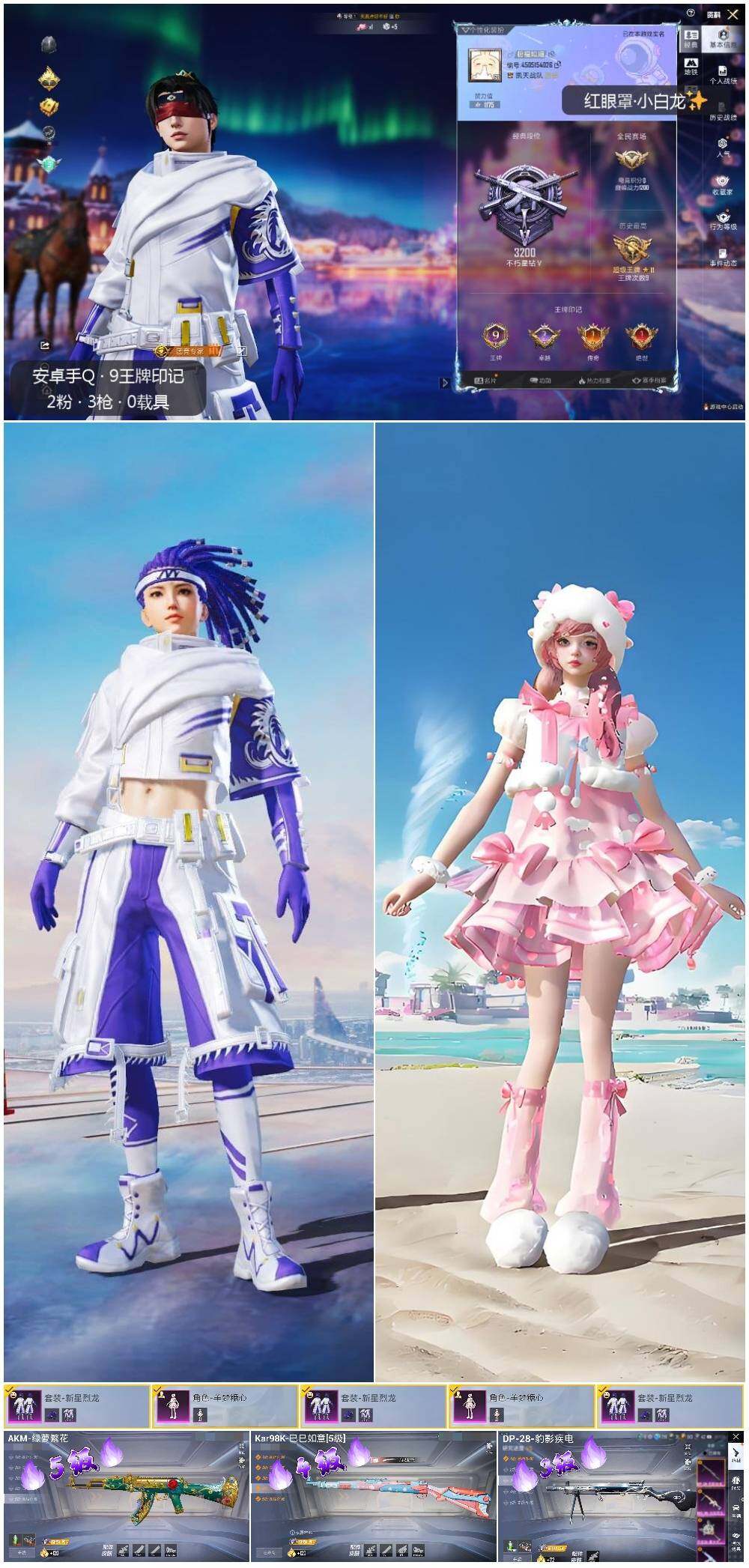 HPLX3417272和平精英账号详情图2 HPLX3417272和平精英账号详情图2