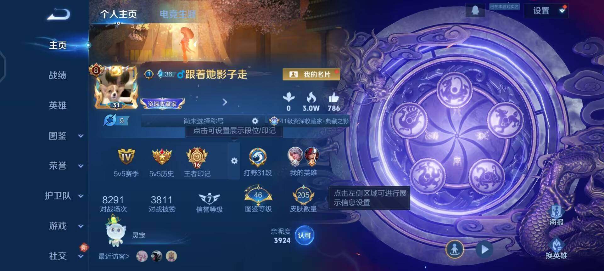 WZQM3466497王者荣耀账号详情图12