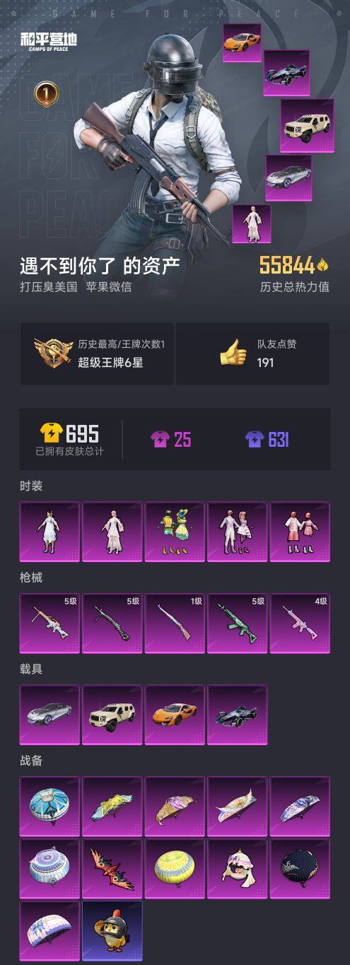 HPQM3415229和平精英账号详情图3 HPQM3415229和平精英账号详情图3