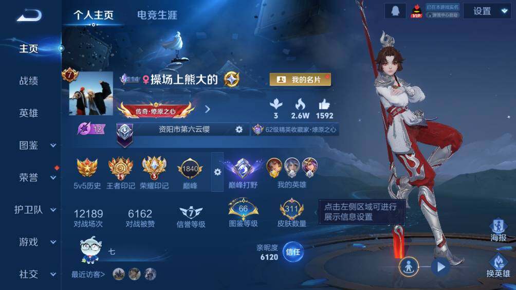 WZ0349806王者荣耀账号详情图8