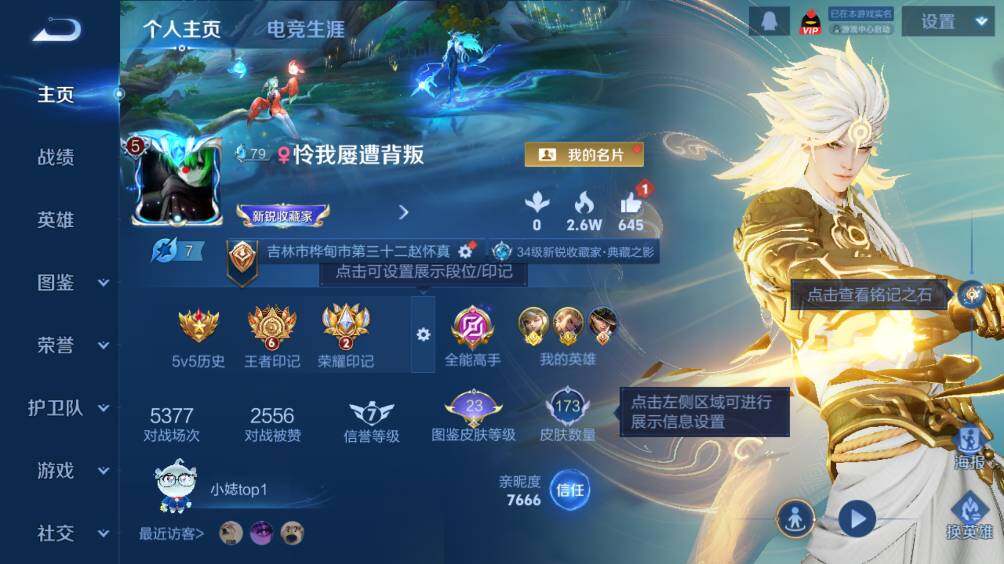 WZ0349811王者荣耀账号详情图6