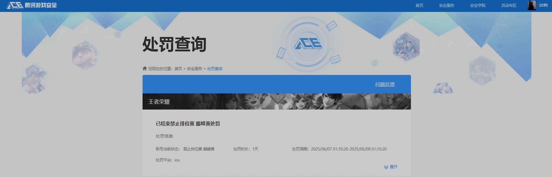 WZKG451242王者荣耀账号详情图18