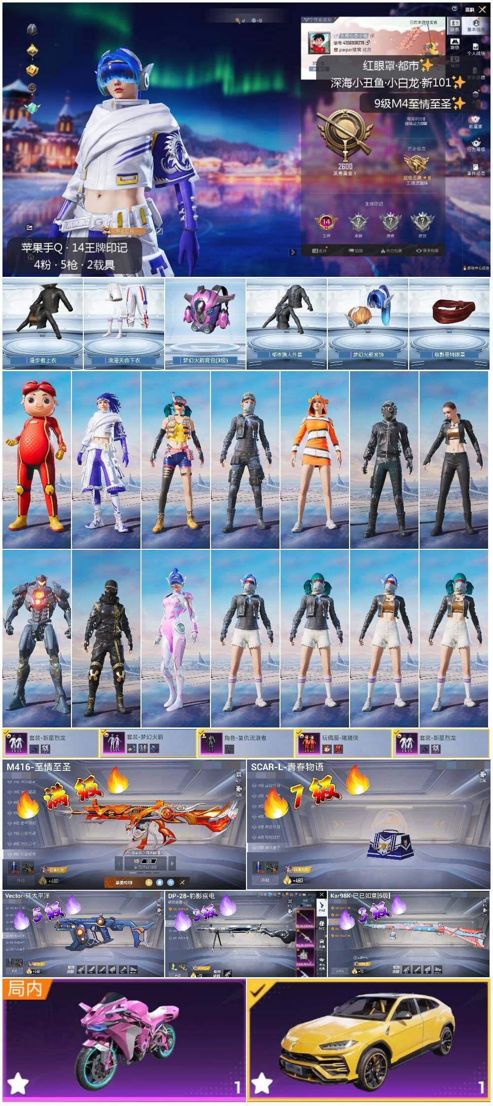 HPLX3418558和平精英账号详情图2 HPLX3418558和平精英账号详情图2