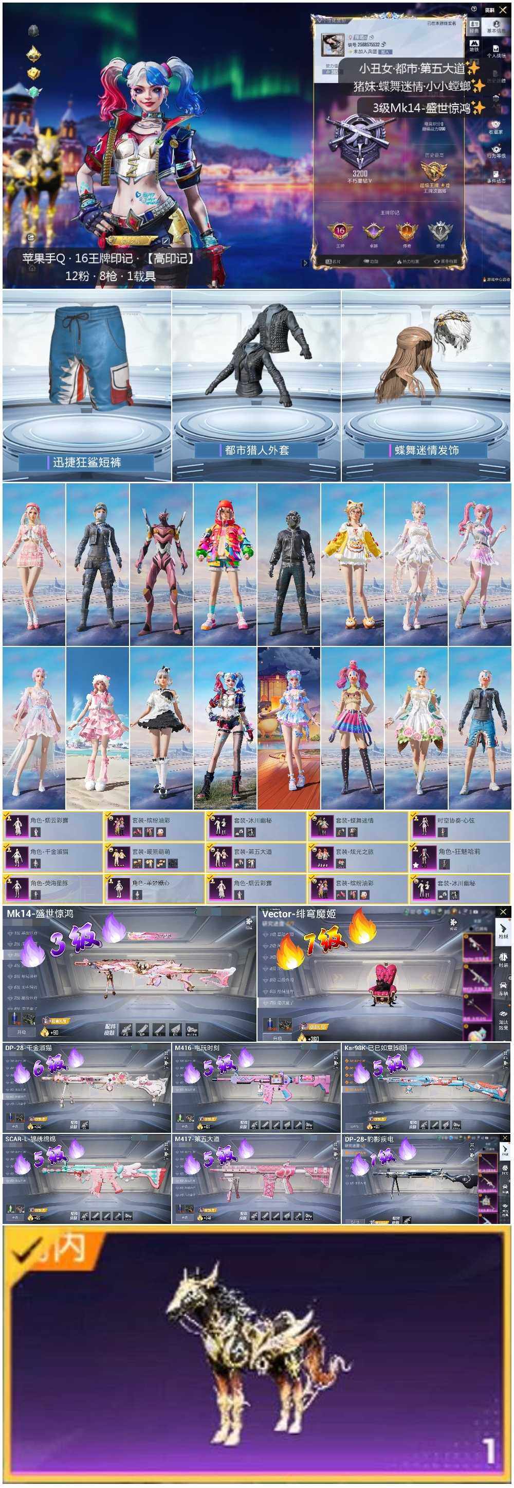 HPLX3418560和平精英账号详情图2 HPLX3418560和平精英账号详情图2