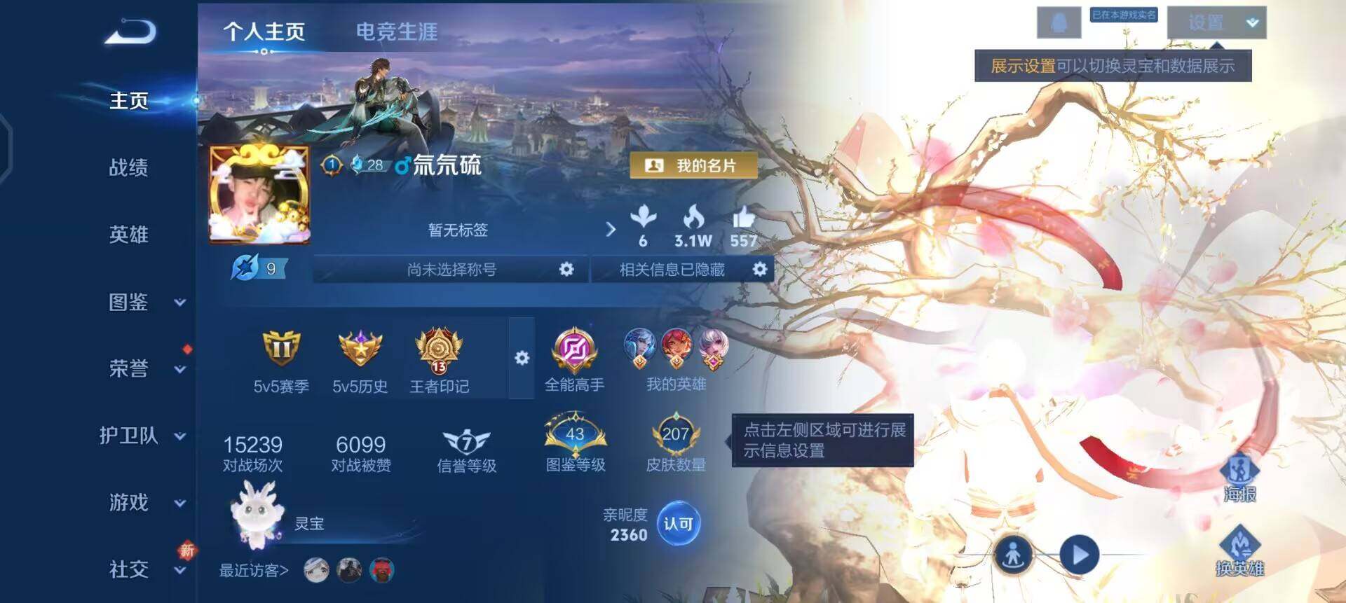 WZQM3436103王者荣耀账号详情图11 WZQM3436103王者荣耀账号详情图11